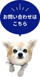 お問い合わせはこちら